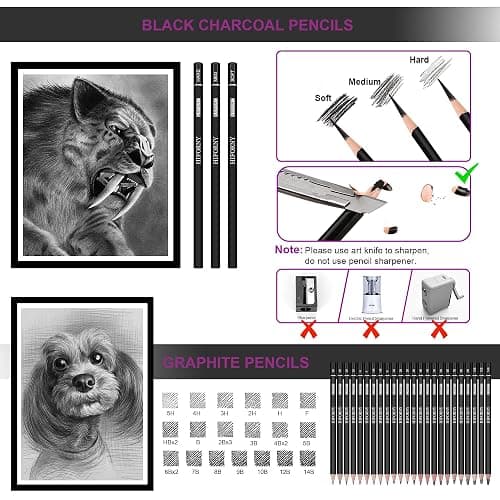 HIFORNY 36 PCS Sketching Drawing Pencil Set,Sketch Pencils Art Supplies with Graphite,Charcoal,Blending Tools,Accessories,Drawing Kit for Adults Artists in Canvas Roll Up Case thumbnail 6