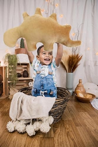 Aucess Dino Chicken Nugget Pillow Set 18in thumbnail 4