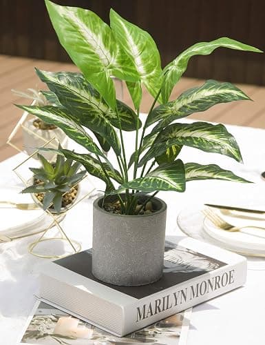 JC nateva 16" Small Fake Plants Artificial Potted Faux Plants for Office Desk Shelf Bathroom Home Decor Indoor thumbnail 5