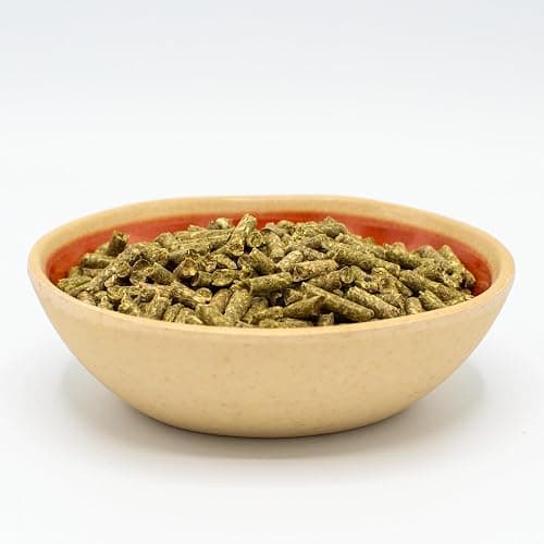 Oxbow Essentials Guinea Pig Food, Adult Guinea Pig, Made with Oxbow Timothy Hay, Pet Food Pellets with Vitamin C, Small Animal Pet Products, Made in USA, High Fiber, 10 lb. bag thumbnail 7