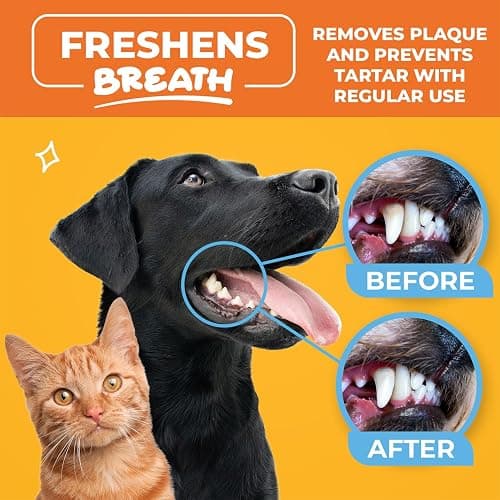 Paw Science Dog & Cat Teeth Cleaning Wipes - Dental Finger Wipes for Cats & Dogs - Pet Toothbrush & Tooth Brushing Kit - Effective Teeth Cleaner (Unscented) thumbnail 4