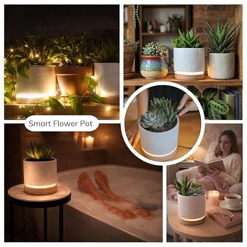 Magic Plantern® | Touch Your Plant to Turn On the Light | Planter Lamp | Unique Plant Lover Gift | Nightstand Ambient Lamp | Succulent Pot with LED thumbnail 9
