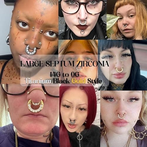 BodyBonita G23 Titanium 0G 2G 4G 6G 8G 10G 12G 14G CZ Septum Rings PA Nose Hoops Clicker Ear Weights for Stretched Ear Piercing Jewelry 10mm 12mm Silver/Gold/Black thumbnail 7