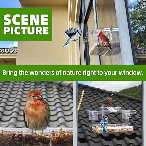 WENMIXER Window Bird Feeder with Non-Marking Self-Adhesive Hooks, Clear and Transparent, Outdoor Wild Bird Watching Gift, Garden Decor (Standard) thumbnail 6