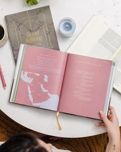 The Bible Handbook: A Book-by-Book Guide to the Entire Bible thumbnail 5