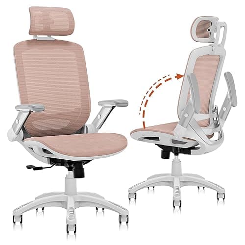 GABRYLLY Ergonomic Office Chair