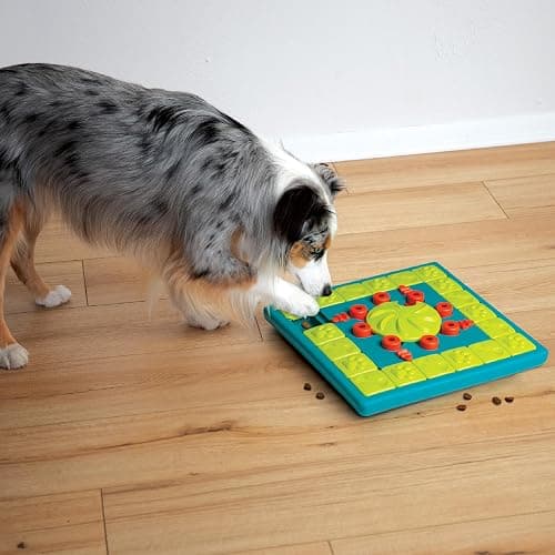 Outward Hound by Nina Ottosson MultiPuzzle – Interactive Dog Treat Puzzle Enrichment Toy, Level 4 Expert thumbnail 8
