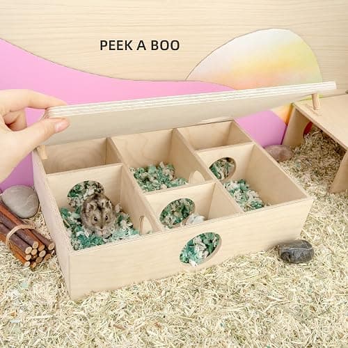 Niteangel Multi-Chamber Hamster House Maze - Multi-Room Hideouts & Tunnel Exploring Toys for Hamster Gerbils Mice Lemmings (6-Room Small) thumbnail 4