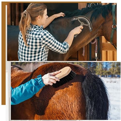 Abbylike 12 Pieces Horse Grooming Kit Racing Festival Tack Room Supplies Horse Brush Sets Equine Care Cleaning Kit Shedding Grooming Massaging Tools(Dark Gray) thumbnail 5