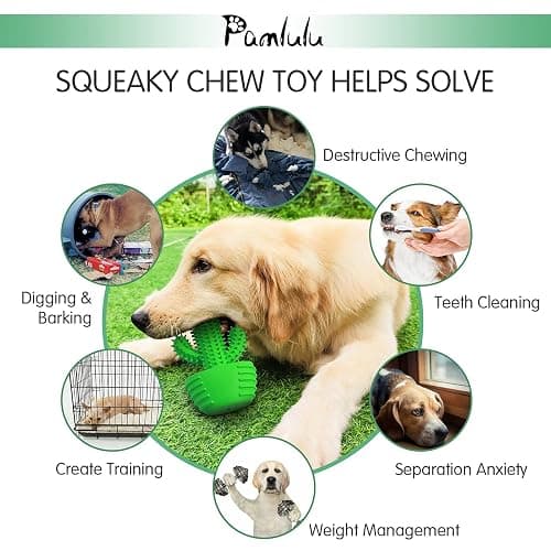 Pamlulu Dog Chew Toys Dog Toothbrush Stick Teeth Cleaning Brush Dental for Medium Large Dog, Puppy Christmas Easter Birthday Gifts, Outdoor Squeaky Toys for Aggressive Chewers Interactive Tough Toys thumbnail 7