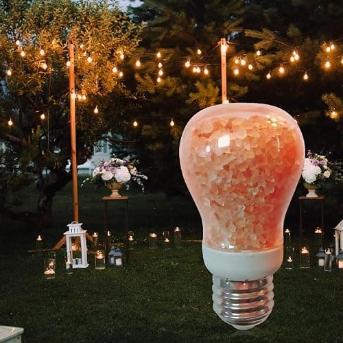 Himalayan Glow Salt Light Bulbs 60-Watt Equivalent, Warm Amber Glow, 7 watts, 2 Count (Pack of 1) thumbnail 2