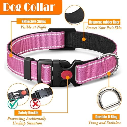 LOBEVE No Pull Dog Harness, Collar & Leash Set | Includes Dog Seat Belt, Collapsible Bowls & Poop Bag Dispenser. Ideal for Training, Walking, Hiking. Fits Small to Large Dogs(Pink-XL) thumbnail 6