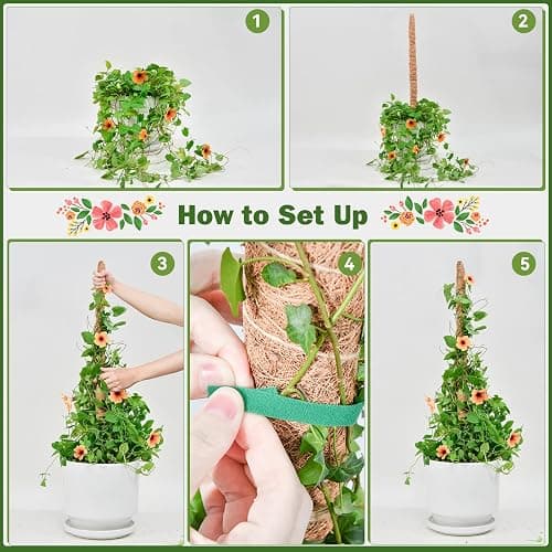 Bendable Moss Pole for Plants, SproutMaven 2 x 23.6/60cm Inch Monstera Moss Pole kit for Climbing Plants Handmade Slim Plant Stakes for Indoor Plants thumbnail 5
