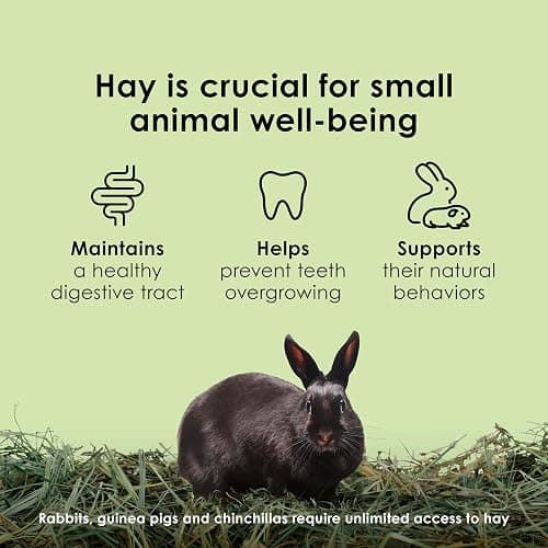 Kaytee Timothy Hay, High Fiber for Rabbits, Guinea Pigs, 12 Pounds | Supports digestive health. Hand-selected rabbit hay. Guinea pig hay, chinchilla hay, pesticide free thumbnail 6