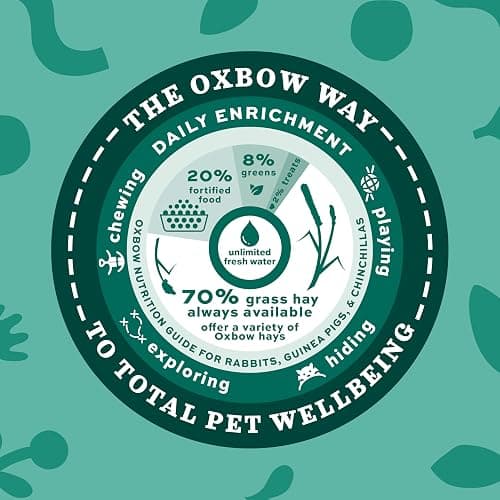 Oxbow Animal Health Orchard Grass, Guinea Pig Hay, Rabbit Hay, Small Pet Bunny Supplies, All Natural Grass for Guinea Pig, Bunny, Chinchilla & Hamster, Oxbow Rabbit Supplies for Bunnies, 9 lb. box thumbnail 10