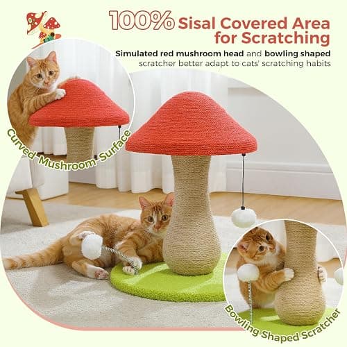 PETEPELA Mushroom Cat Scratching Post, Cat Scratcher Cute with 100% Sisal Covered Scratching Post & Pompoms Toy, Mushroom Cat Post for Indoor Cats thumbnail 4