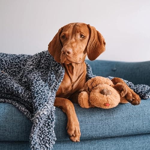 Original Snuggle Puppy Heartbeat Puppy Toy - Heartbeat Puppy for Dogs - Pet Anxiety Relief and Calming Aid - Comfort Dog Toy - Behavioral Training and Sleep Aid Cuddle buddy - Crate Training Essential thumbnail 9