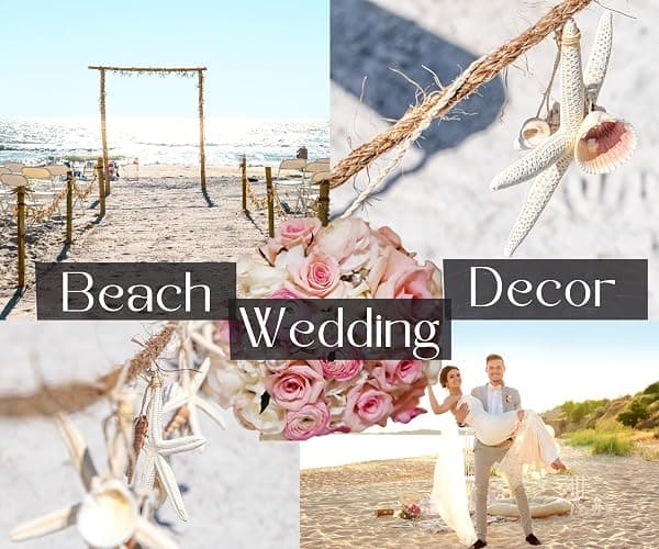 Beach Garland Seashell & 12 Pc Real Starfish Garland 10ft+ (120"), Coastal Christmas Decor, Nautical Decor, Beach Theme Party Decorations,Starfish Christmas Decorations (Starfish w/Shells Garland) thumbnail 4