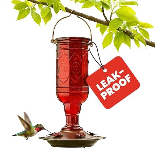 More Birds Red Jewel Hummingbird Feeder, Glass Bottle, 5 Feeding Ports and 20-Ounce Nectar Capacity (76IN) - Image 1