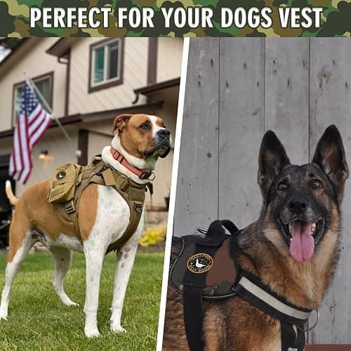 XMJY Funny Goose Hook and Loop Patch, Colorful Embroidered Patch, Cute Animal Meme Morale Patch, DIY Applique Accessories for Backpacks, Dog Harnesses, Army Vests, Gym Bags, Hats, Helmets thumbnail 4