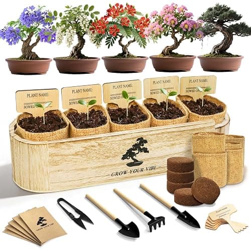 LUOJIBIE Bonsai Tree Kit for Beginners - Unique DIY Japanese Bonsai Trees,Crafts for Adults, Ideal Gardening Birthday Gift for Women & Men,Complete Indoor Plant Kit - Image 1
