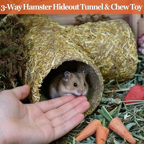 Hamster Hideout Tunnel Natural Hay & Dried Flower Paper Tube Maze Burrowing Habitat Decor for Dwarf Hamsters Gerbils Mice Syrian Hamsters (Calendula) thumbnail 2