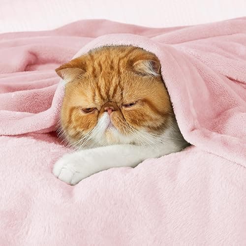 Bedsure GentleSoft Pink Fleece Throw Blanket for Couch - 300GSM Cozy Soft Blankets for Women, Cute Small Fleece Throws for Girls, Pink Home Decor Gifts, 50x60 Inches thumbnail 7