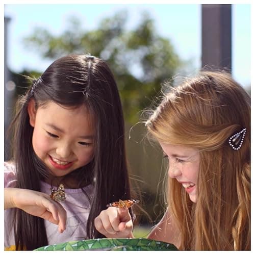 Insect Lore Raise and Release Butterfly Garden Kit – Caterpillar Habitat with redeemable Voucher – STEM-accredited Butterfly Growing Kit for Kids, Classrooms, and Homeschool Learning thumbnail 10
