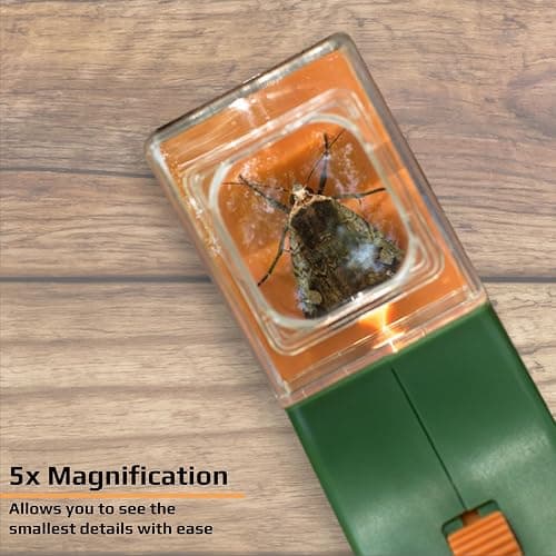 Carson BugView 5X Magnifying Glass Quick-Release Bug Catcher Indoor and Outdoor Tool for Kids or Adults (HU-10) thumbnail 6