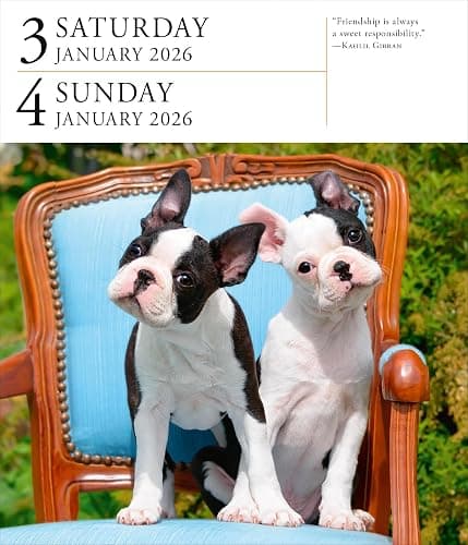 Dog Page-A-Day® Gallery Calendar 2026: An Elegant Canine Celebration thumbnail 5