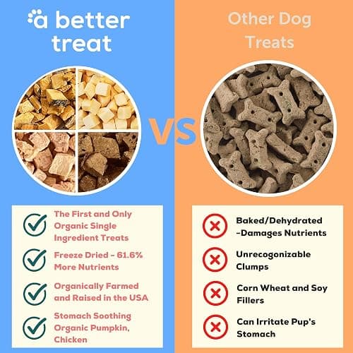 A Better Treat – Freeze Dried Organic Pumpkin, Wild Caught Salmon, Organic Grass Fed & Finished Pasture Raised Beef, Organic Chicken Dog and Cat Treats | Healthy, Diabetic Friendly | Made in The USA thumbnail 2