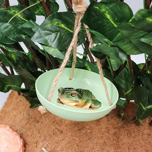 Neeenn Frog Swing Toys, Gecko Swing Toys, Plastic Reptile Amphibian Climbing Toys, Tank Aquarium Terrarium Decoration Accessories, Suitable for Frog Gecko Lizard Chameleon Hermit Crab Hamsters Rats - Small-5.5 Inch in Diameter - Green thumbnail 4