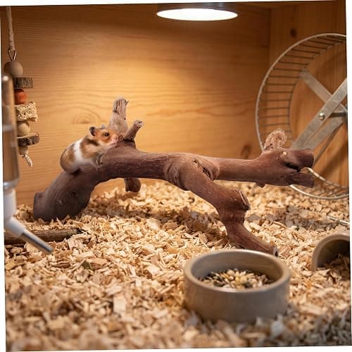 NASSMOSSE 2 Pcs Hamster Toys, Natural Grapevine Climbing Branches Hamster Enrichment Toys, Small Animal Cage Decor & Rat Exploration thumbnail 3