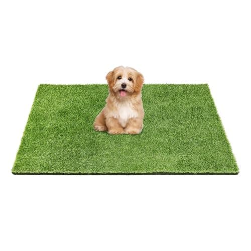 Yinoos 36" x 24" Fake Grass Mat for Dogs, Premium Washable Artificial Turf Grass Rug for Patio Lawn Balcony Door Dog Pet Pee Potty Training - Image 1