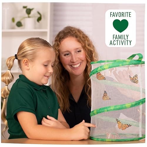 Insect Lore Raise and Release Butterfly Garden Kit – Caterpillar Habitat with redeemable Voucher – STEM-accredited Butterfly Growing Kit for Kids, Classrooms, and Homeschool Learning thumbnail 7