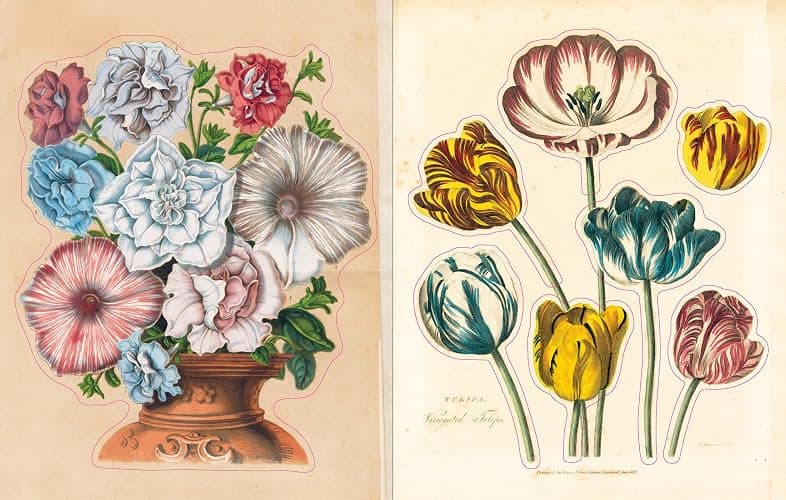 John Derian Sticker Book (John Derian Paper Goods) thumbnail 6