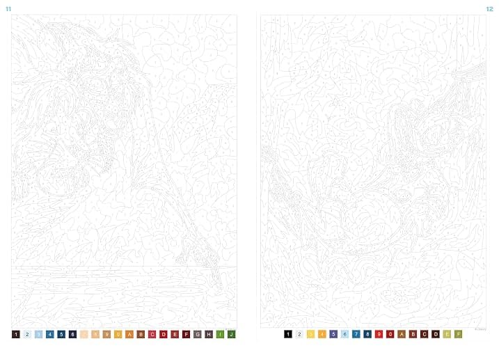 Coloriages mystères Disney - Nature thumbnail 7
