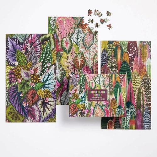Galison Houseplant Jungle Multi Puzzle Set from Galison - Includes Three 250 Piece Puzzles Featuring Botanical Photographs from Troy Litten, Thick and Sturdy Pieces, Fun and Challenging Activity thumbnail 2