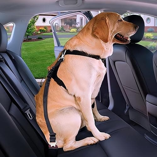 Aerkersun Dog Seat Belt for Car - Adjustable Dog Car Safety Harness, Elastic Cushioning Seatbelt Leash, Reinforced Metal Buckle Anti-Tangle Design, for Small and Medium Pets (Black) thumbnail 7