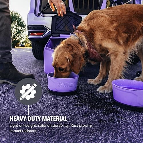 GUNNER lavender travel dog bowl w spill-proof lid thumbnail 7