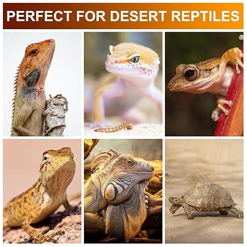 Jugbuy UVB Reptile Light Bulb 10.0, 23W UV Spiral Compact Florescent Terrarium Lamp Ideal for Desert Reptiles Bearded Dragons Lizard Tortoise Iguanas Chameleons Snake - 2 Pack thumbnail 4