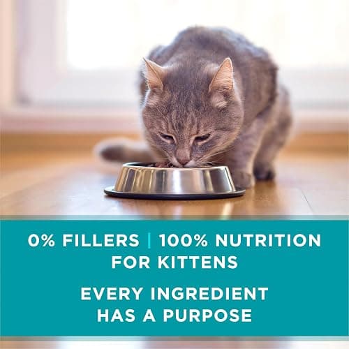 Purina ONE Grain Free, Natural Pate Wet Kitten Food, Healthy Kitten Chicken & Salmon Recipe - (Pack of 24) 3 oz. Pull-Top Cans thumbnail 7