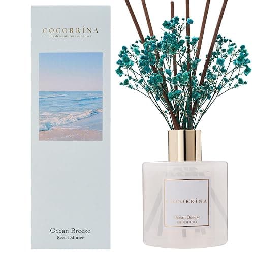 COCORRÍNA Reed Diffuser - Ocean Breeze Scented Diffuser with 8 Sticks Home Fragrance Reed Diffuser for Bathroom Shelf Decor thumbnail 2