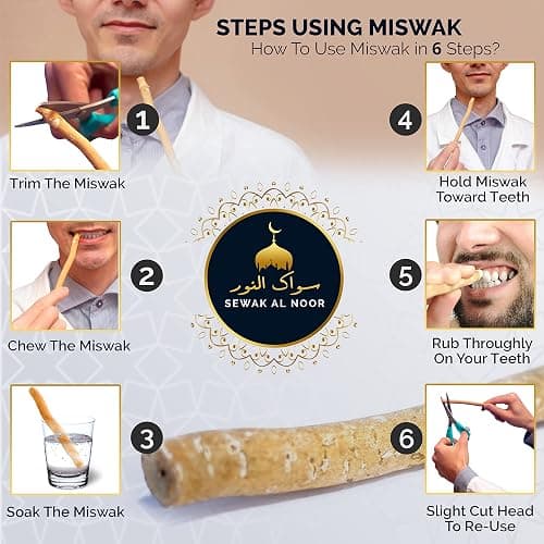 Sewak Al Noor Pack of 10 Miswak Sticks for Teeth with Holder - Vacuum Sealed Natural Flavored Chew Sticks for Humans - Natural Toothbrush for Teeth Whitening, Oral Health & Fresh Breath || Pack of 10 thumbnail 3