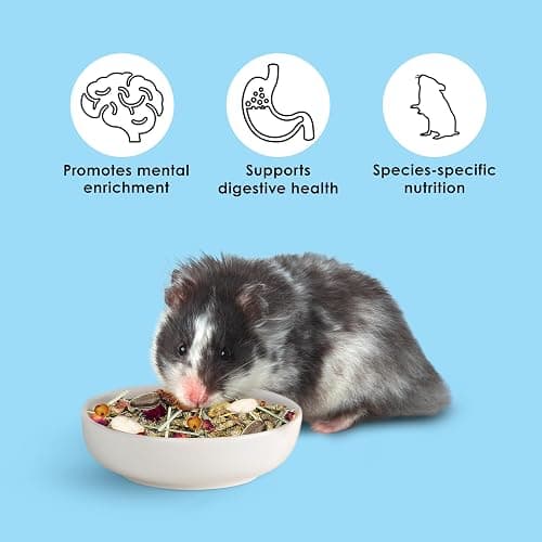 Kaytee Food from The Wild Natural Pet Hamster Food, 2 Pound thumbnail 4