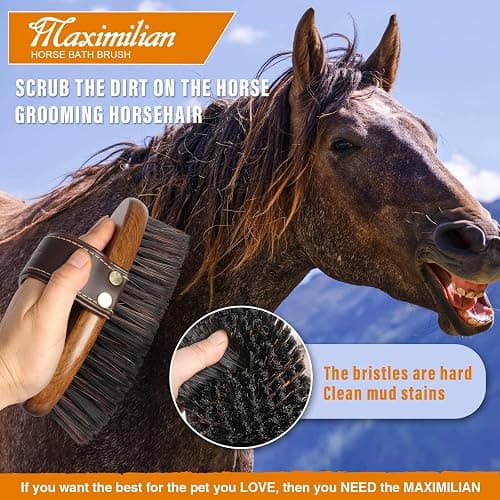 MAXIMILIAN World Class Handmade Equine Stiff Body Horse Brush. Professional Equine Grooming Tools. Effortlessly Removes Mud, Sweat and Dirt from Your Horses Hair. thumbnail 7