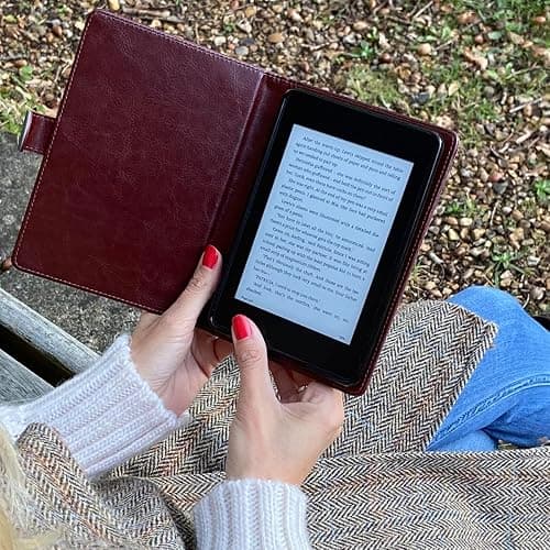 Kindle Cover thumbnail 3