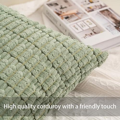 Aegero Pack of 2 Corduroy Decorative Throw Pillow Covers 18x18 Inch Soft Striped Pillow Covers Modern Farmhouse Home Decor for Sofa Living Room Couch Bed（Aqua） thumbnail 2