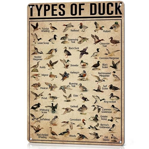 HYBLOM Duck Hunting Gifts for Men, Types of Duck Metal Sign Vintage 12x8 IN | Rust-Proof Aluminum, Mallard Duck Decor, for Nursery Boys Room Cabin Lodge Man Cave, Duck Hunting Accessories, Retro Tin Sign - Image 1