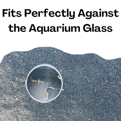 Aquarium Underground Tunnel Cave Natural Curve | Viewing Fish & Shrimp Under Gravel Tunnel | Fish Tank Decor Decoration Hideout Perfect for Corydora Catfish, Kuhli Loach, Clown Loach, Pleco thumbnail 6